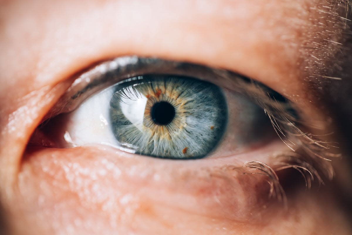 QI - Quite Interesting - The limbal ring is the dark circle around your iris.  Research has shown that, when considering a short-term fling, heterosexual  women are more attracted to men with