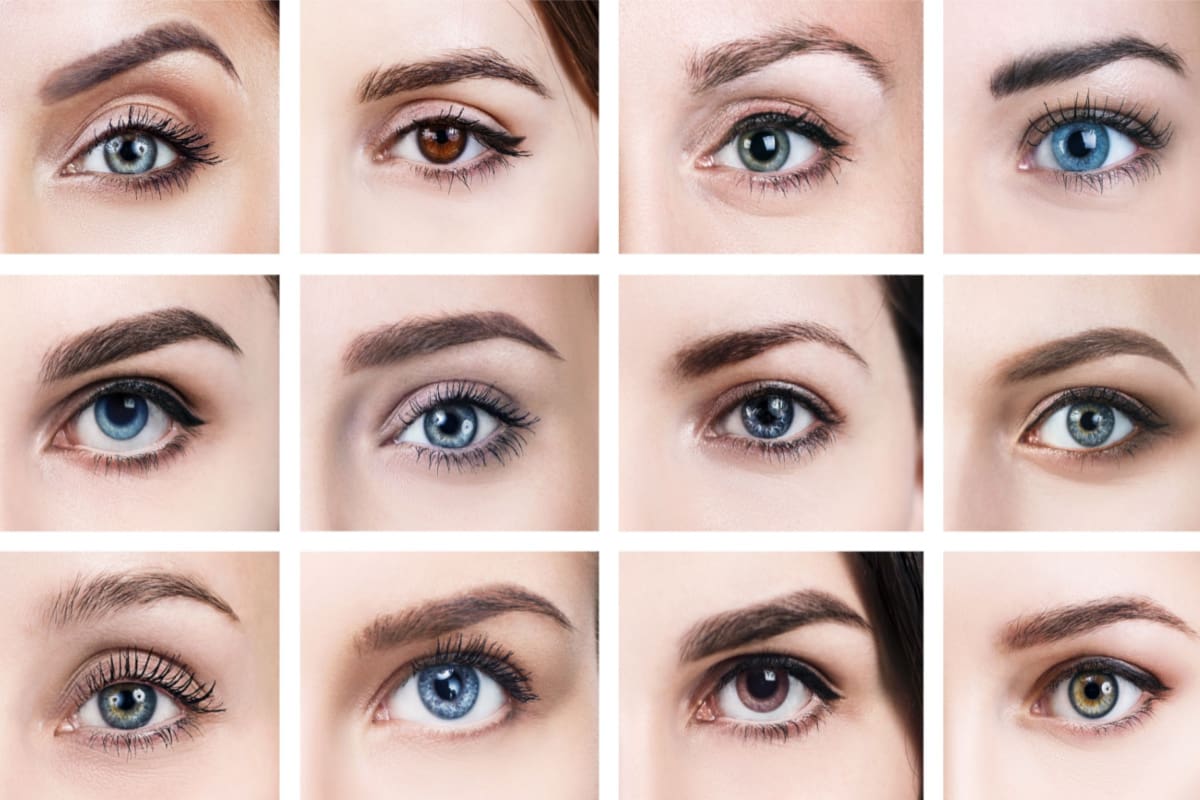 How Many Eye Colors Are There?, Eye Color Guide & Percentages